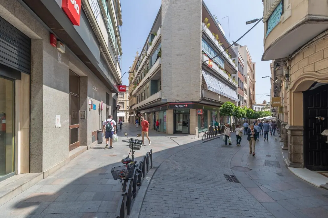 Apartment In The City Center Cordoba İspanya
